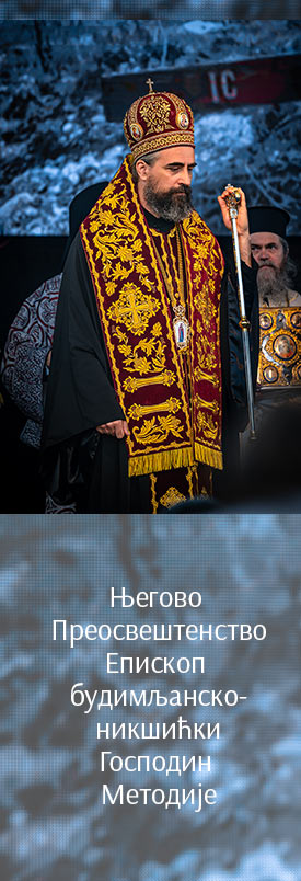 Епископ Методије