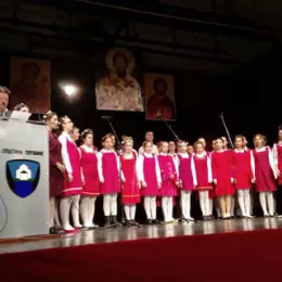 У Плужинама одржана Светосавска академија