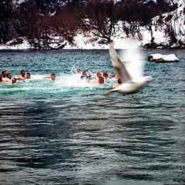 Милош први допливао до Крста