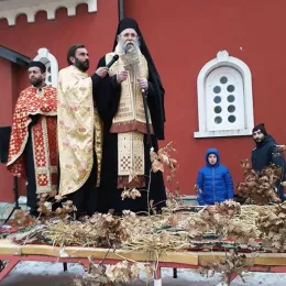 Традиционално налагање бадњака пред Саборним храмом у Мојковцу