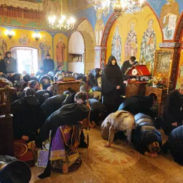 Литургија пређеосвећених дарова и сабор свештенства и свештеномонаштва Епархије будимљанско-никшићке