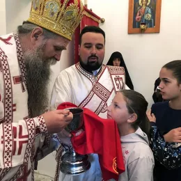 Томина недјеља прослављена на Брзави