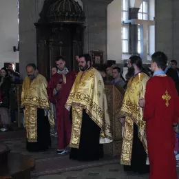 Врбица прослављена у Саборном храму у Никшићу