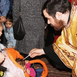 Врбица прослављена у Саборном храму у Никшићу