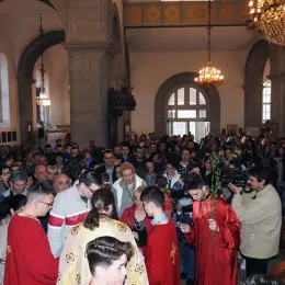 Врбица прослављена у Саборном храму у Никшићу