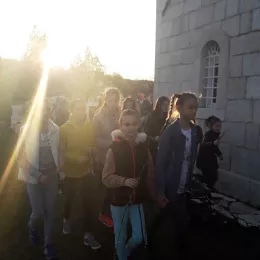 Врбица у Страшевини