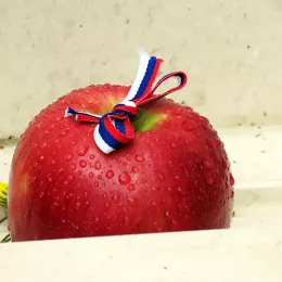 Владика Јоаникије на годишњем помену оцу Момчилу Кривокапићу