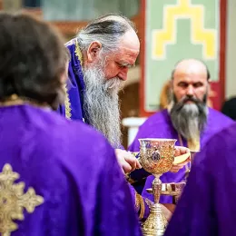 Владика Јоаникије: Не можемо духовно напредовати, ако се не покајемо