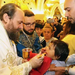 Хиротонисан викарни Епископ Патријарха српског