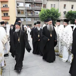 Хиротонисан викарни Епископ Патријарха српског