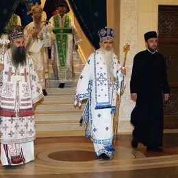 Хиротонисан викарни Епископ Патријарха српског