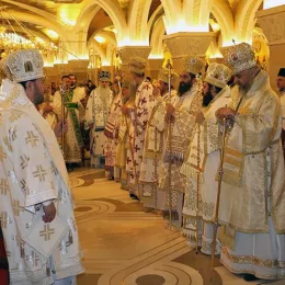 Хиротонисан викарни Епископ Патријарха српског