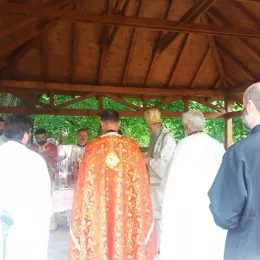 Владика Јоаникије у Златешу