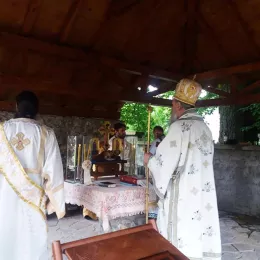 Владика Јоаникије у Златешу