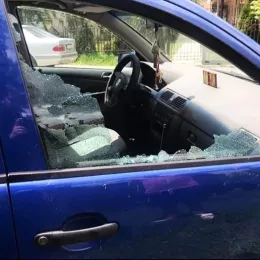 Дивљаштво „непознатих починилаца“