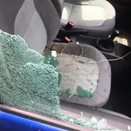 Дивљаштво „непознатих починилаца“