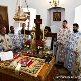 Митрополит Јоаникије на 22. годишњицу епископске хиротоније дочекан у Цетињском манастиру