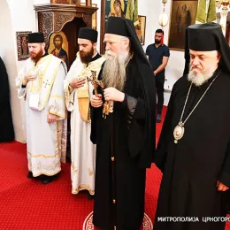 Владика Јоаникије