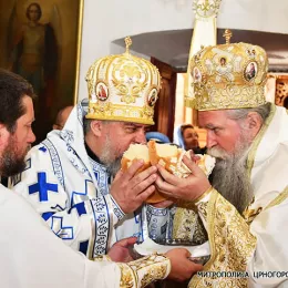 Владика Јоаникије