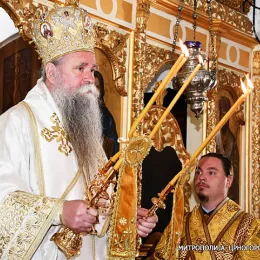 Владика Јоаникије