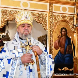 Владика Јоаникије