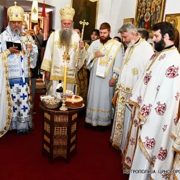 Владика Јоаникије