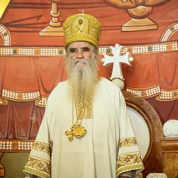 Митрополит Амфилохије