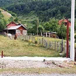 Вандалски чин над светињом Светог Василија Острошког код Гусиња