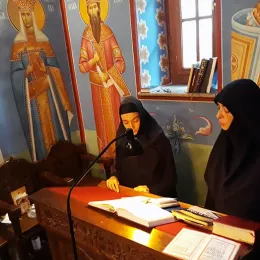 Владика Јоаникије служио у Шудикови