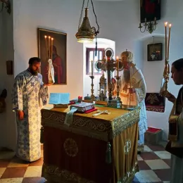 Митрополит Јоаникије