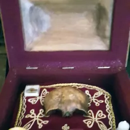 Прослава празника Преображења Господњег у манастиру Подврх