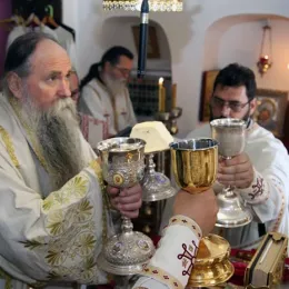 Светом архијерејском литургијом почео деветнаести Православни дјечији сабор