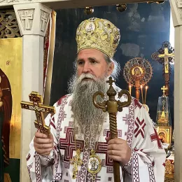 Владика Јоаникије