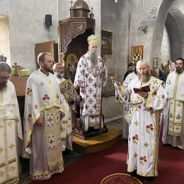 Владика Јоаникије