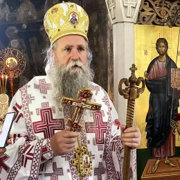 Владика Јоаникије