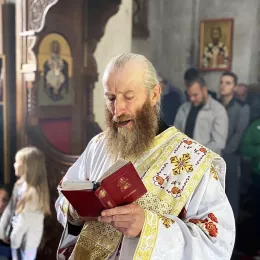 Владика Јоаникије