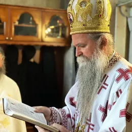 Владика Јоаникије