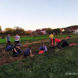 Моба на економији Саборног храма у Никшићу