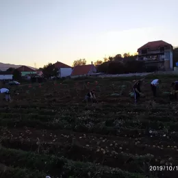 Моба на економији Саборног храма у Никшићу