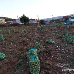 Моба на економији Саборног храма у Никшићу