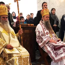 Владика Јоаникије