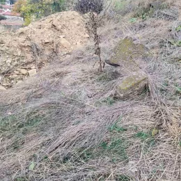 САОПШТЕЊЕ ЕПАРХИЈЕ РАШКО – ПРИЗРЕНСКЕ ПОВОДОМ ЈОШ ЈЕДНОГ У НИЗУ СКРНАВЉЕЊА ПРАВОСЛАВНИХ ГРОБАЉА