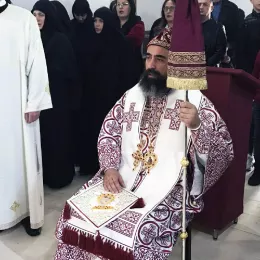 Владика Методије