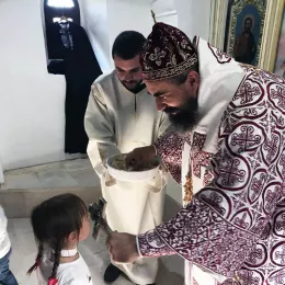 Владика Методије