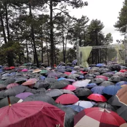 Почео црквено народни-сабор у Никшићу, Литургију служи Митрополит Амфилохије са осам Епископа
