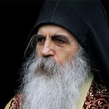 Митрополит бачки др Иринеј