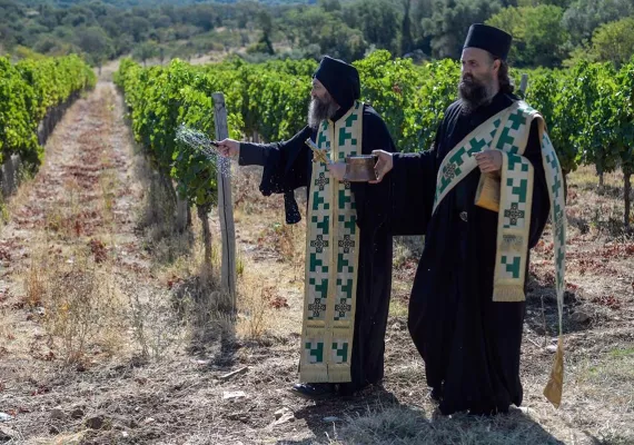 Молебан за успешан почетак бербе у Хиландару